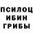 Псилоцибиновые грибы Psilocybine cubensis Vera Naumenko