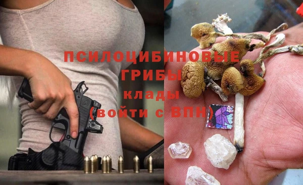 mix Белокуриха