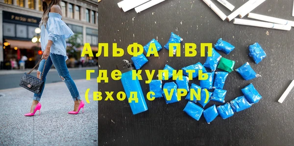 индика Баксан