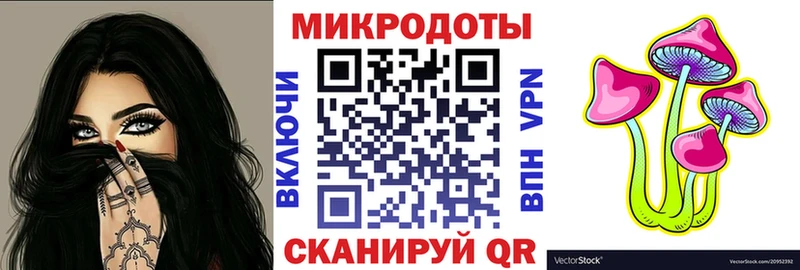 Галлюциногенные грибы Psilocybe  Суджа 